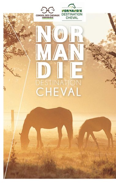 Normandie Destination Cheval