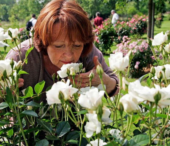 Jardins en images