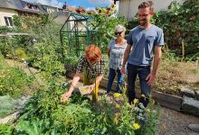 Je démarre mon potager en permaculture