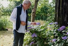 Dans le jardin de Stéphane Marie