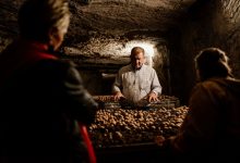 Visite d’une champignonnière à Orbec