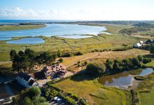 Où observer les oiseaux en Normandie ?