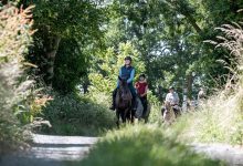 Balade à cheval autour des haras