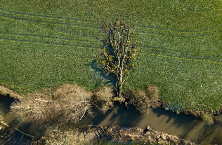 Nouvelles expositions : la photographie et la peinture s