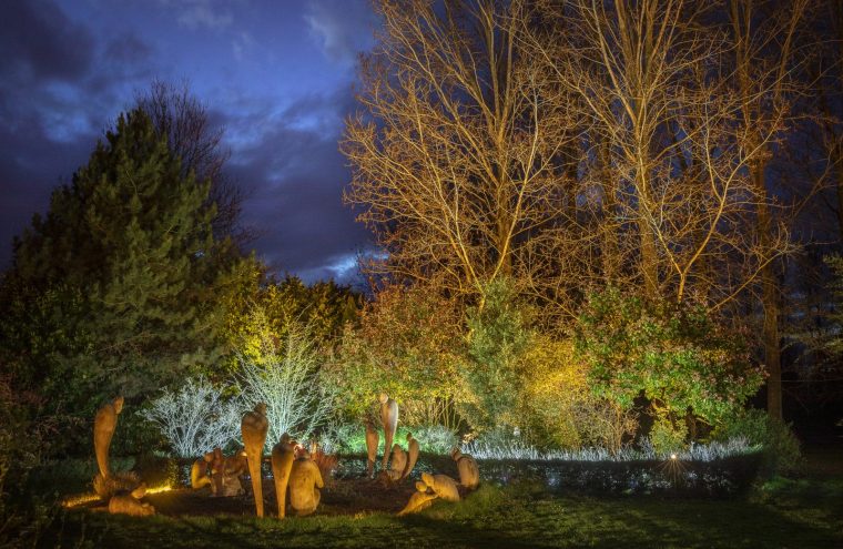 Découverte contée du Jardin d 