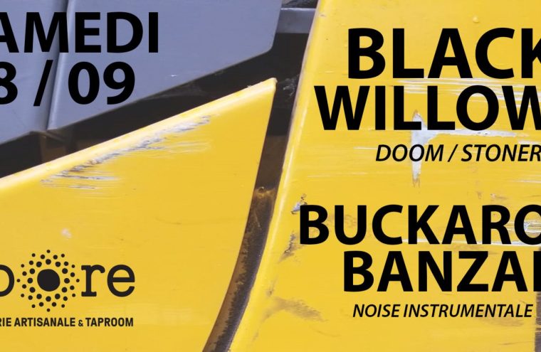 Concert Black Willos et Buckaroo Banzai à la Brasserie... Le 28 sept 2024