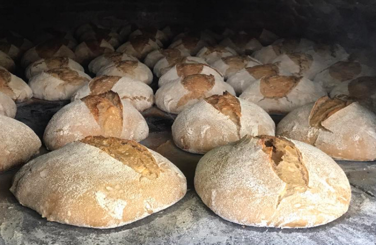 ((Marché de producteur)) Avec le Paysan Boulanger Le 4 oct 2024