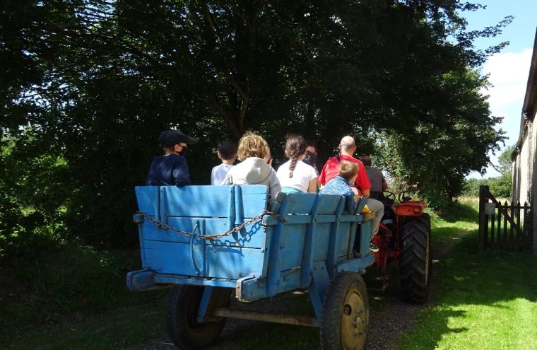 Balade en tracteur vintage - Ferme-musée du Cotentin