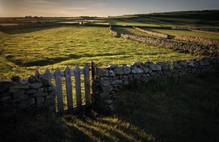 Visite guidée : De la pierre taillée à la pierre bâtie