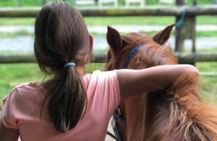 Le cheval qui murmure à l