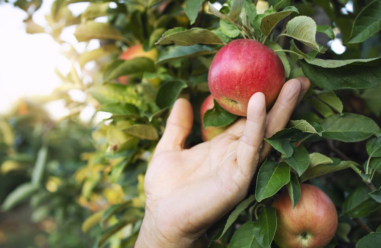 Dégustation : Le Coq toqué Le 28 sept 2024