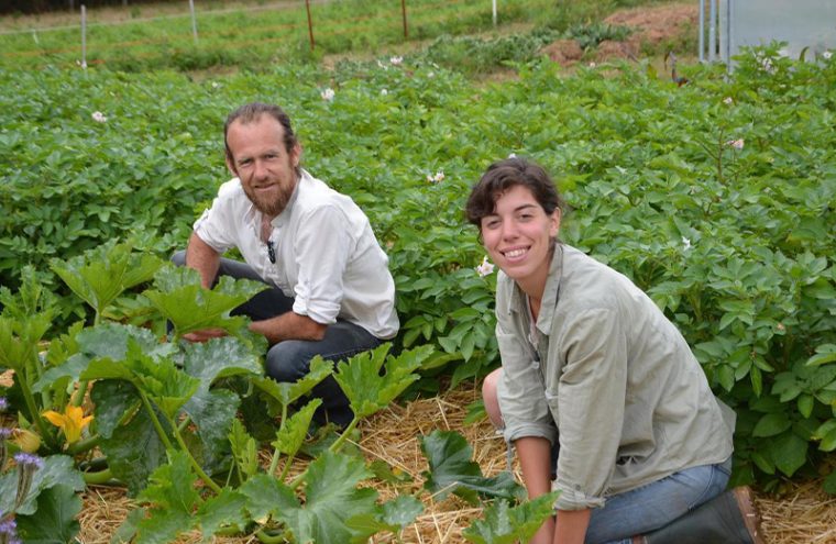 Vente de légumes bio par 