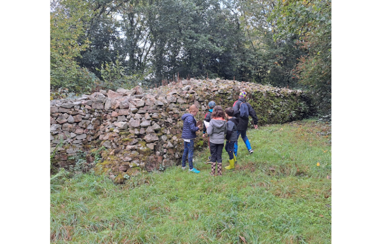 Balade nature : Histoire et géologie du Camp de Bierre