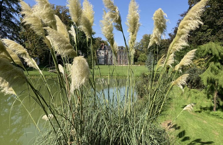 Journées du Patrimoine au Domaine des Jardins de Bracquetuit Du 21 au 22 sept 2024