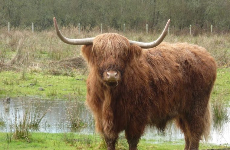 Journées Européennes du Patrimoine - Balade nature... Le 22 sept 2024