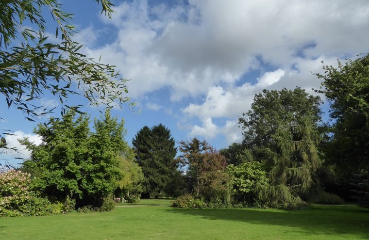 Journées du Patrimoine : Visite guidée du jardin Le Clos de Chanchore