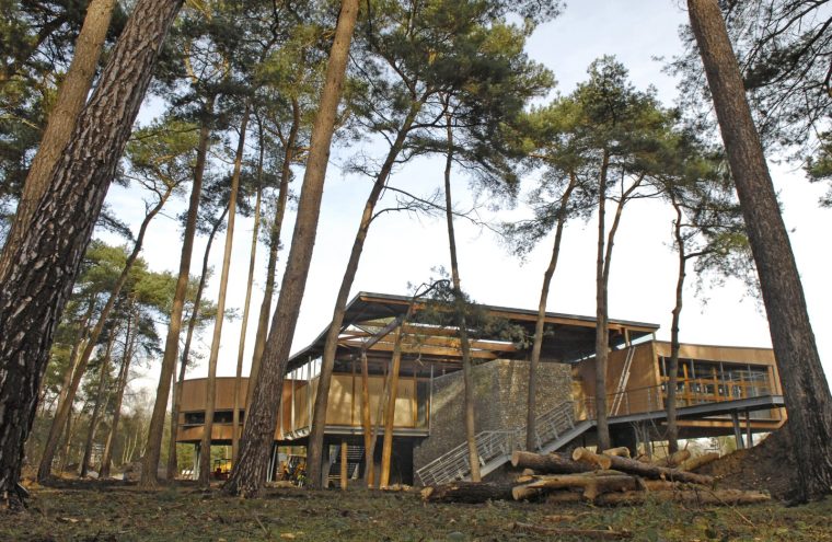 Tous en forêt Le 25 sept 2024