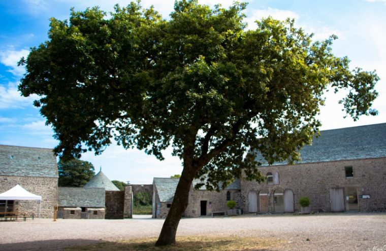 Atelier des vacances enfants : travail de la laine - Manoir du Tourp