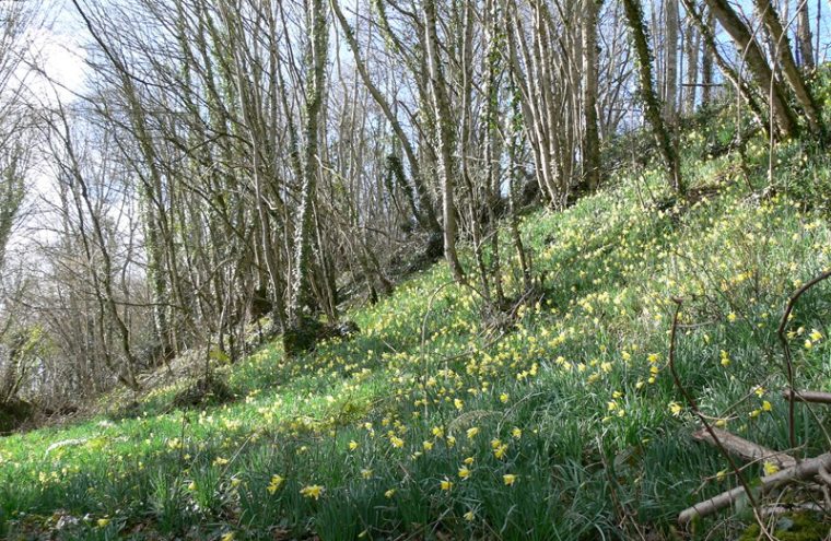 Balade nature : Randonnée dans les méandres de l