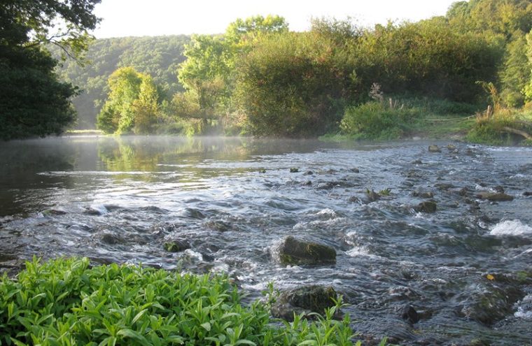 Balade Nature : Nature et histoire à Mesnil Glaise Le 21 sept 2024