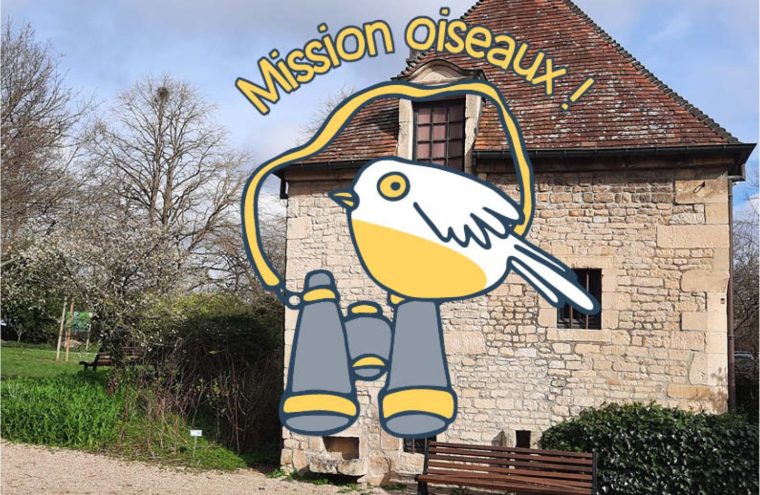 Mission oiseaux Le 22 oct 2024