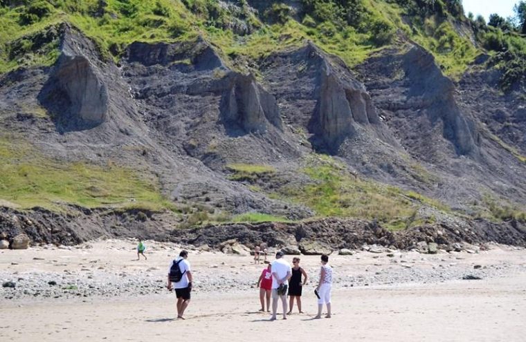 Visite guidée : les falaises des Vaches noires