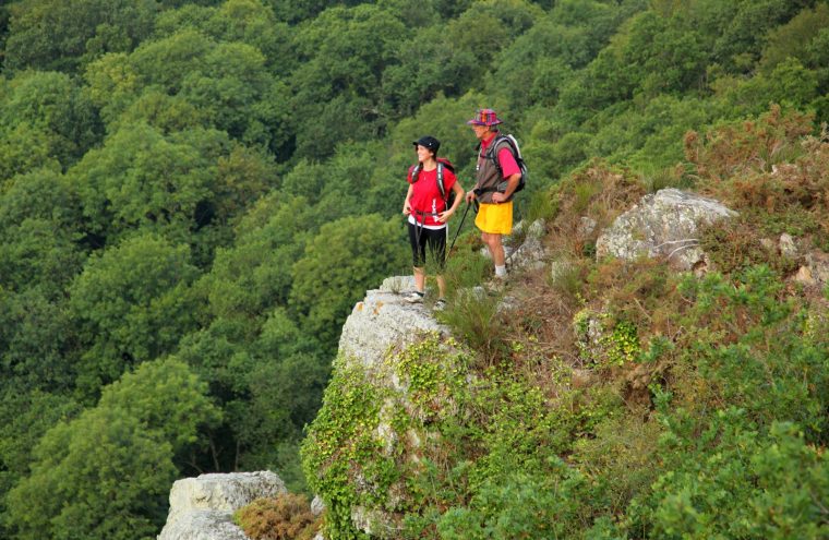 Randonnée pédestre accompagnée