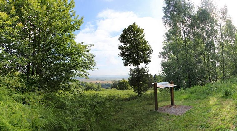 Balade Nature : Découverte sensorielle de la forêt Le 22 oct 2024