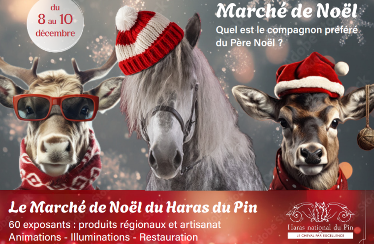 Marché de Noël du Haras national du Pin