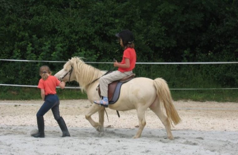 Promenade à poney de 6 à 8 ans Du 28/8/2024 au 29/6/2025