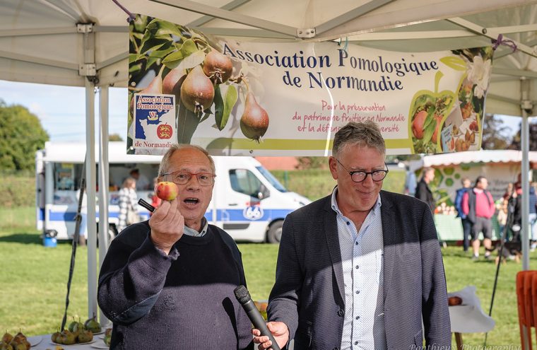 Fête de la pomme et du cheval : démonstration de... Le 29 sept 2024