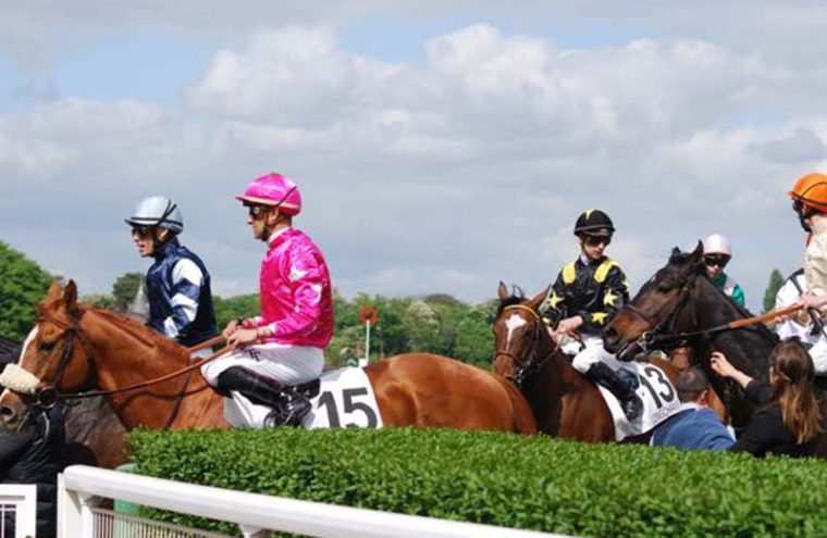 Courses hippiques du Haras national du Pin Du 13 au 27 oct 2024