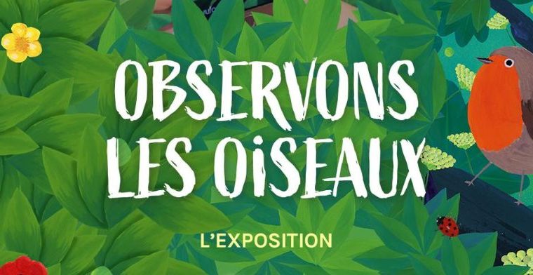 Observons les oiseaux Du 5 sept au 5 oct 2024