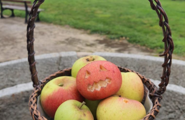 Halloween au musée : Jus de pomme, citrouilles et compagnie Le 30 oct 2024