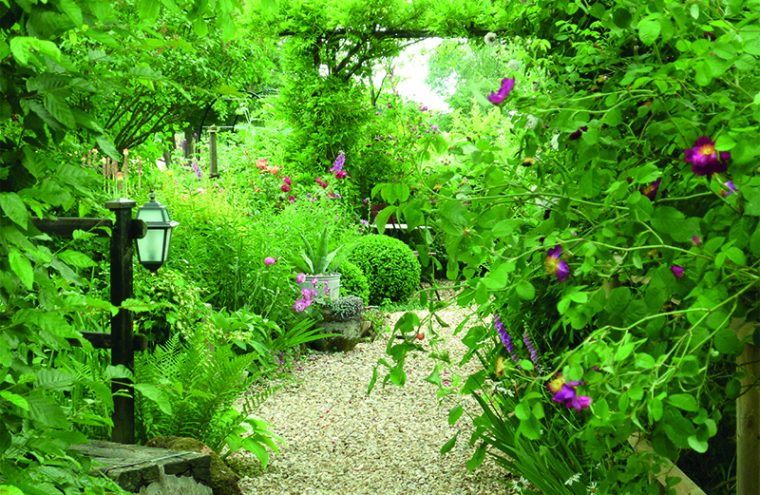 Visite du jardin du Coudray