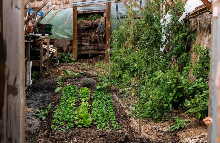 ((Initiation)) Permaculture · Jardin autrement Du 28 sept au 26 oct 2024